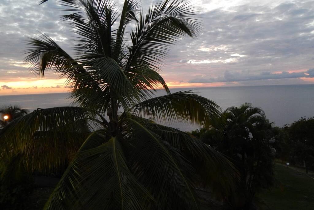 Le Morne Charlotte Villa Le Carbet Buitenkant foto